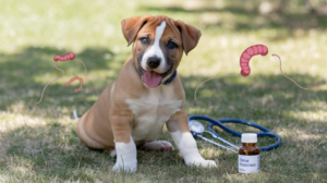 Puppy Deworming