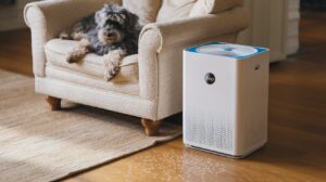 Using Air Purifiers